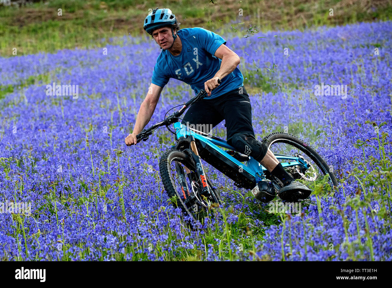 Un uomo che cavalca un electric mountain bike in velocità attraverso un campo di bluebells vicino a Abergavenny in Galles, Regno Unito. Foto Stock
