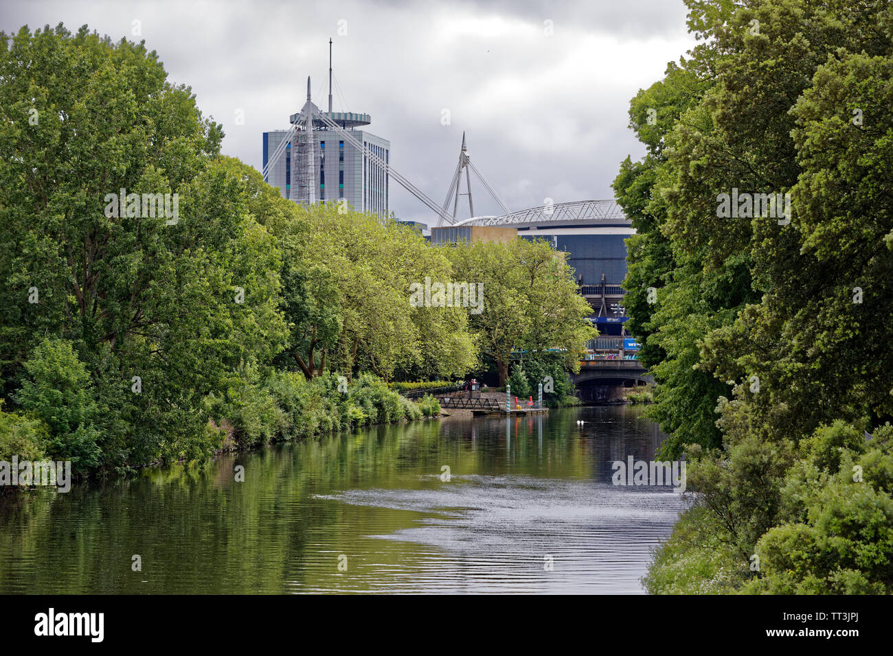 Fiume Taff in Bute Park con il Principato Stadium vedere in lontananza, Cardiff, Galles, UK. Mercoledì 12 Giugno 2019 Foto Stock