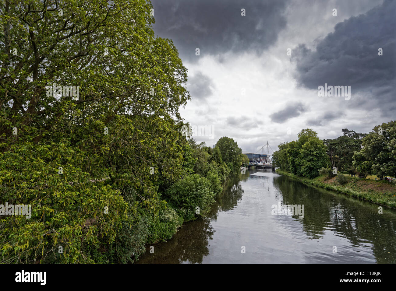 Fiume Taff in Bute Park, Cardiff, Galles, UK. Mercoledì 12 Giugno 2019 Foto Stock