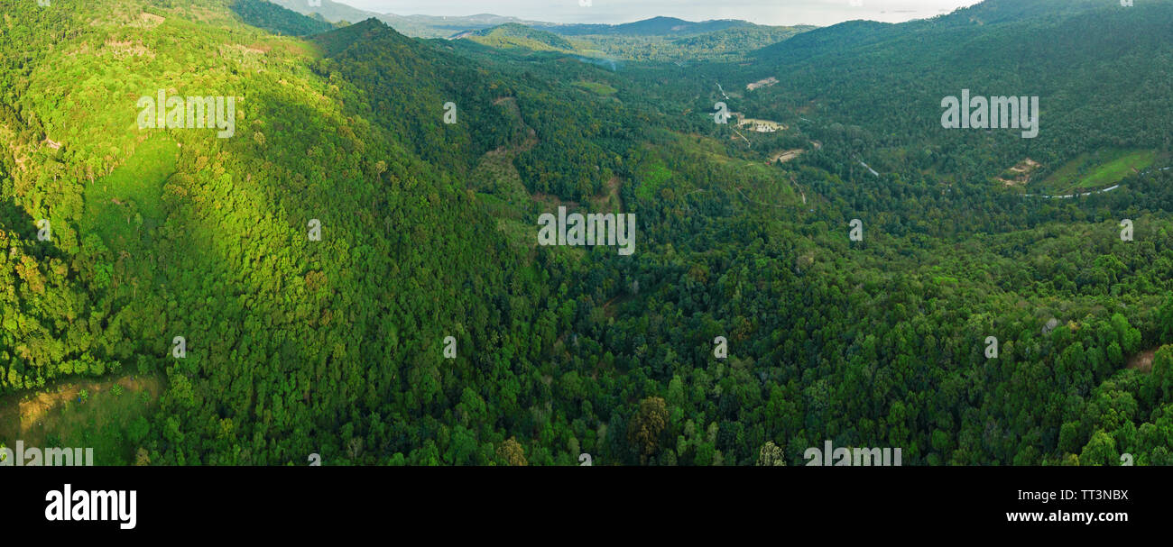 Vista aerea della giungla montagne a Ko Samui, Tailandia Foto Stock