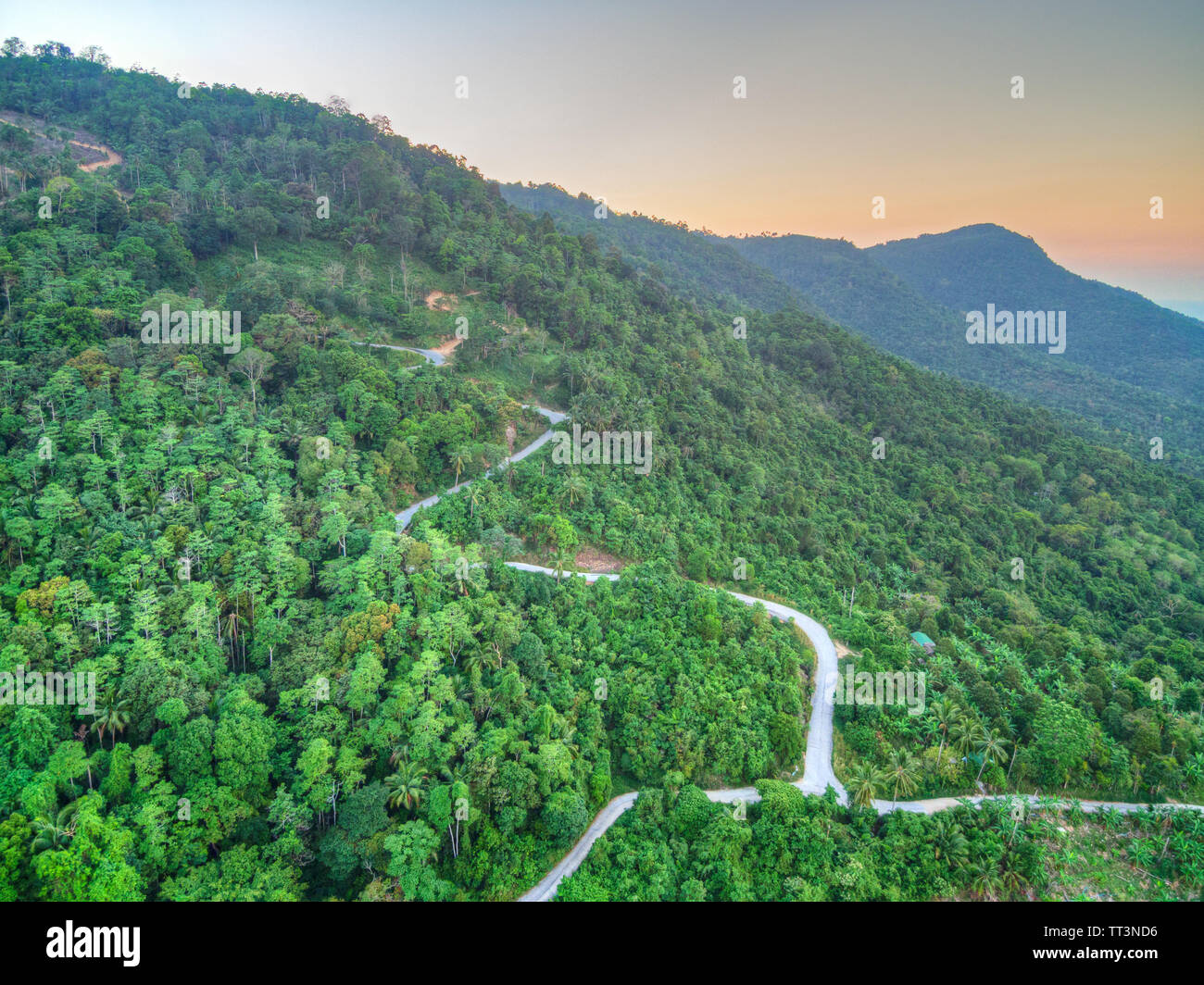 Vista aerea della curva strada di montagna attraverso una giungla ay tramonto Foto Stock