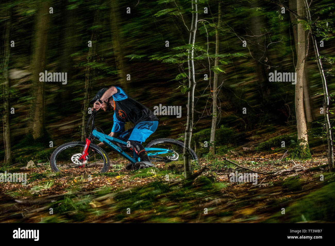 Un uomo corse in mountain bike sulla velocità di un sentiero attraverso il bosco in prossimità della città di Bristol nel sud ovest dell'Inghilterra. Foto Stock