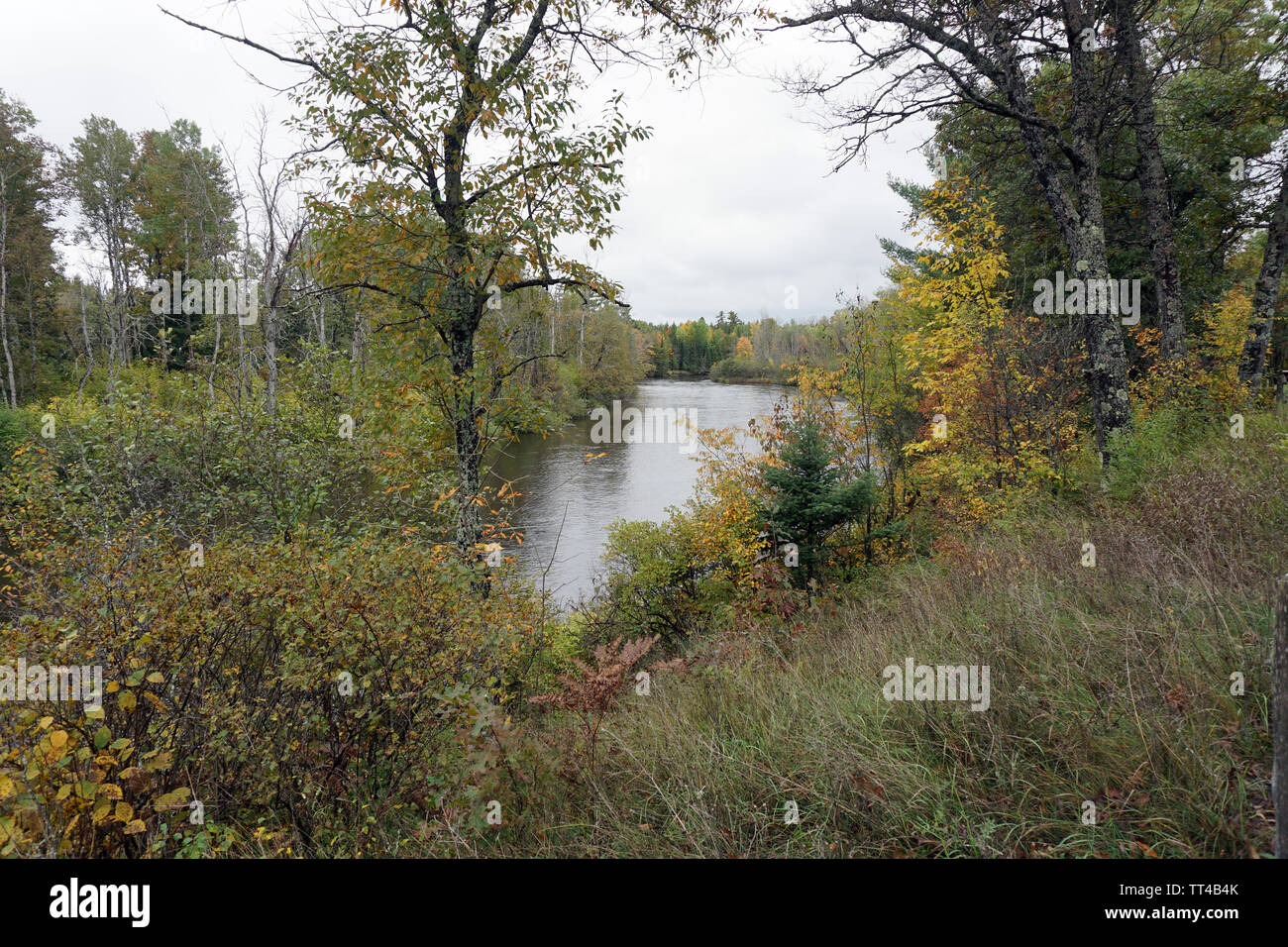 I colori dell'Autunno lungo l'Au Sable River Foto Stock