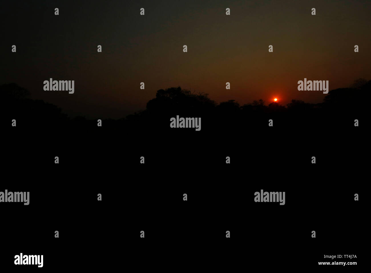 Tramonto nel Parco Nazionale di Kafue. Zambia Foto Stock
