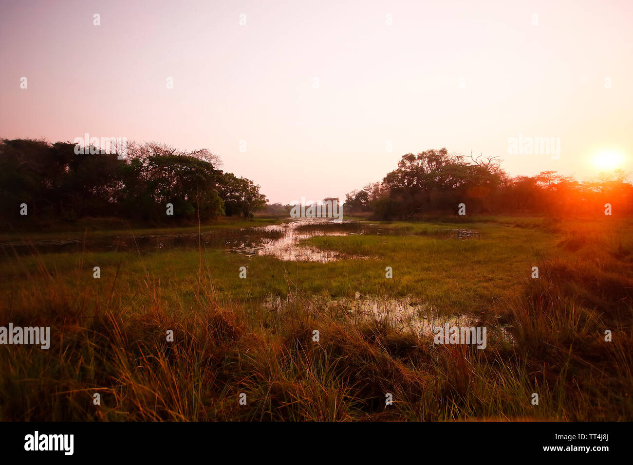 Sunrise nel Parco Nazionale di Kafue. Zambia Foto Stock