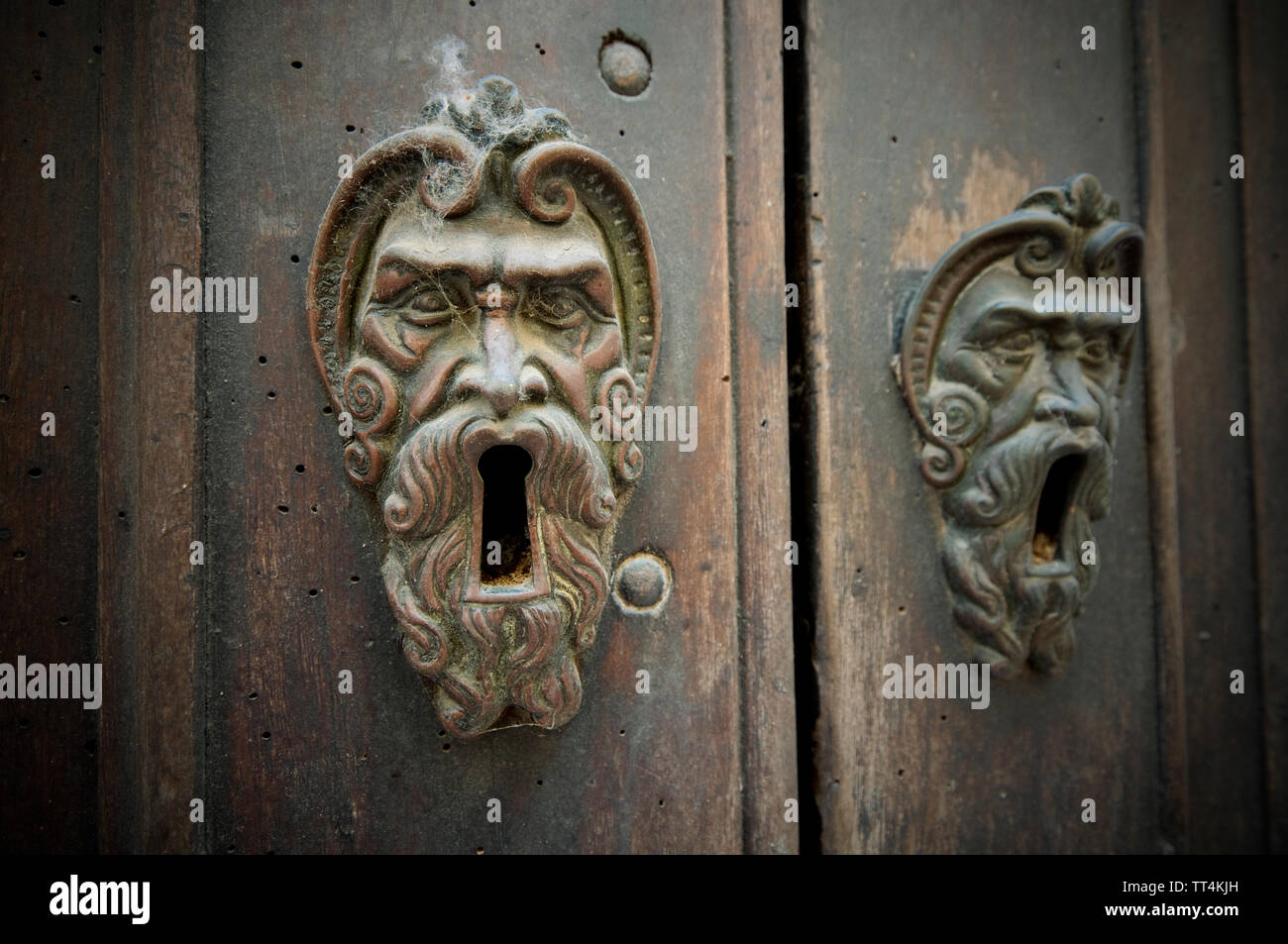 L'Italia, Emilia Romagna, Porta arrugginito respingente su un cancello in legno Foto Stock