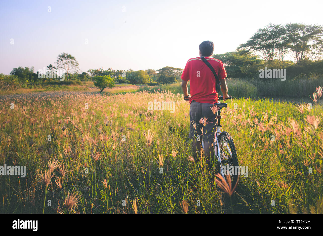 Vista posteriore di un nero capelli uomo con una bicicletta nel prato al tramonto Foto Stock