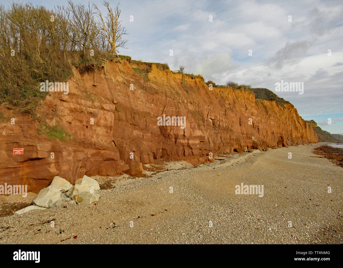 La spiaggia di ciottoli a Sidmouth nel Devon con il rosso scogliere di arenaria della Jurassic Coast in background. Foto Stock