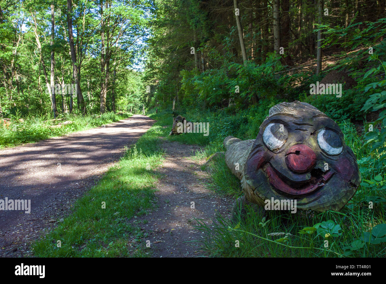 Volto scolpito in un tronco di albero, foresta fantasmi trail (tedesco: Waldgeisterweg), Oberotterbach, Itinerario dei vini tedeschi, Renania-Palatinato, Germania Foto Stock