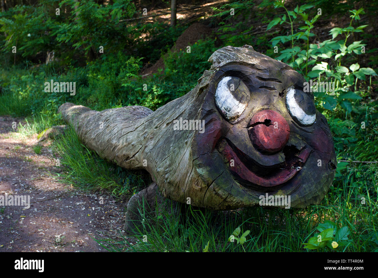 Volto scolpito in un tronco di albero, foresta fantasmi trail (tedesco: Waldgeisterweg), Oberotterbach, Itinerario dei vini tedeschi, Renania-Palatinato, Germania Foto Stock