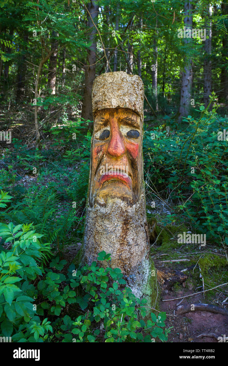 Volto scolpito in un tronco di albero, foresta fantasmi trail (tedesco: Waldgeisterweg), Oberotterbach, Itinerario dei vini tedeschi, Renania-Palatinato, Germania Foto Stock