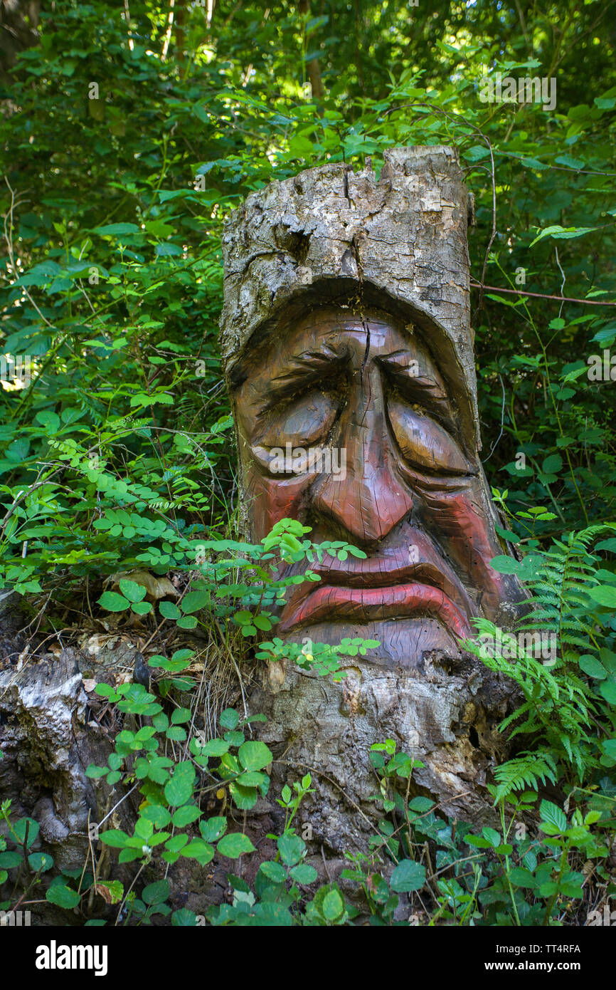 Volto scolpito in un tronco di albero, foresta fantasmi trail (tedesco: Waldgeisterweg), Oberotterbach, Itinerario dei vini tedeschi, Renania-Palatinato, Germania Foto Stock