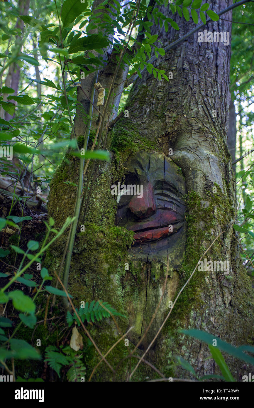 Volto scolpito in un tronco di albero, foresta fantasmi trail (tedesco: Waldgeisterweg), Oberotterbach, Itinerario dei vini tedeschi, Renania-Palatinato, Germania Foto Stock