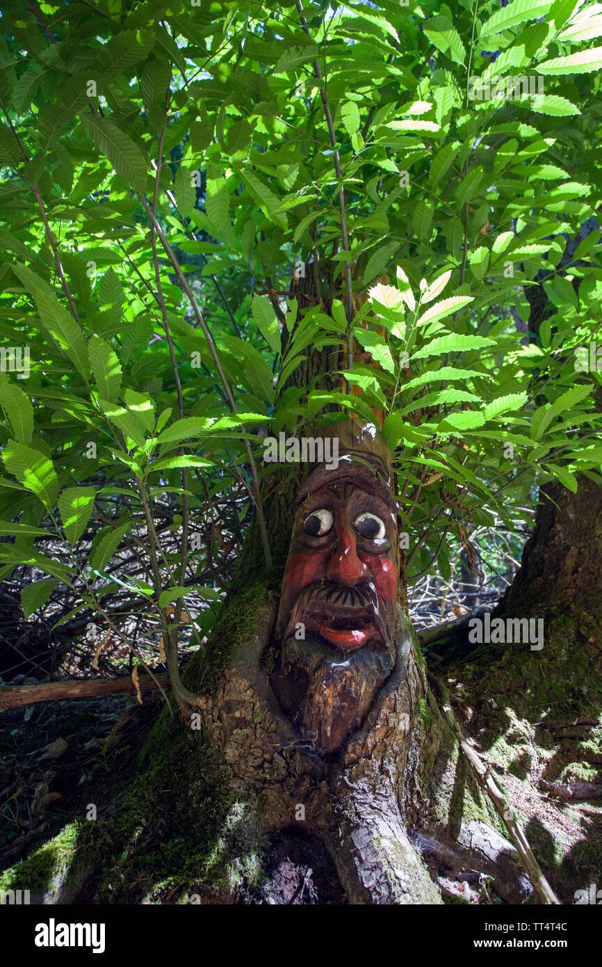 Volto scolpito in un tronco di albero, foresta fantasmi trail (tedesco: Waldgeisterweg), Oberotterbach, Itinerario dei vini tedeschi, Renania-Palatinato, Germania Foto Stock