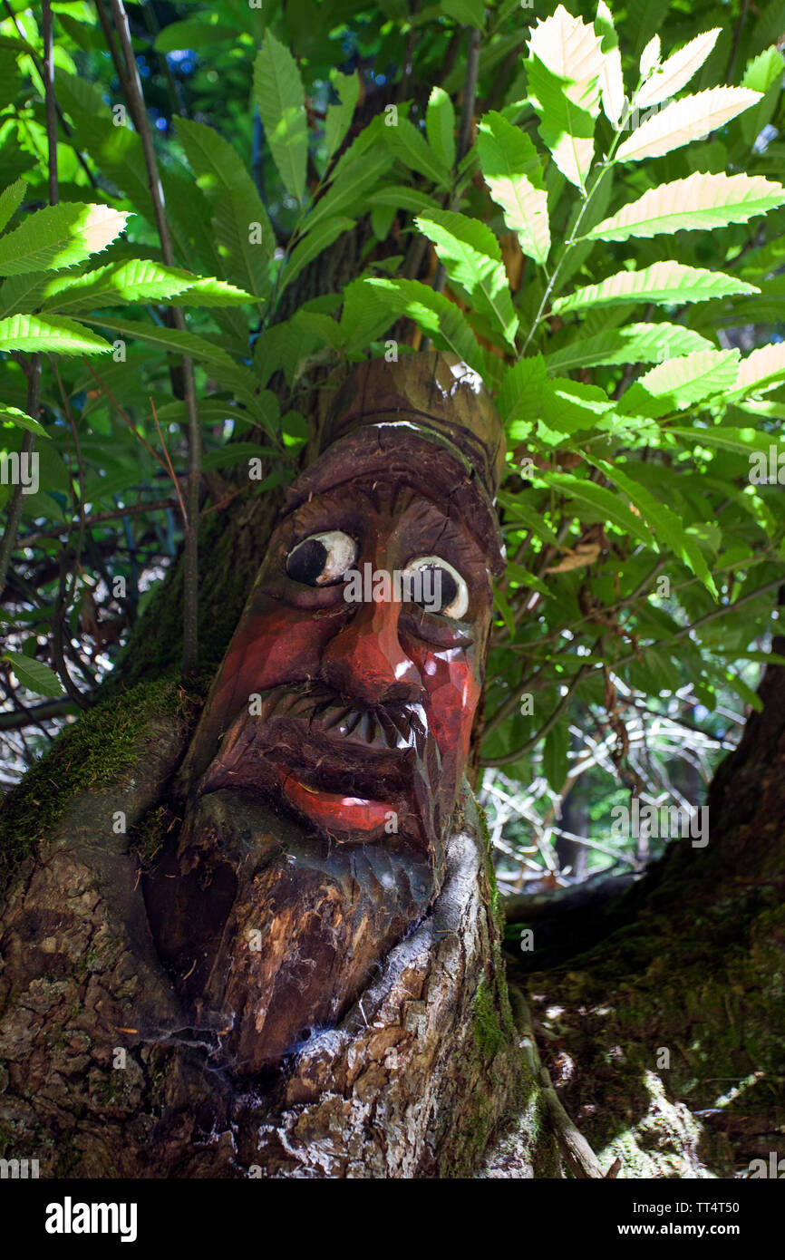 Volto scolpito in un tronco di albero, foresta fantasmi trail (tedesco: Waldgeisterweg), Oberotterbach, Itinerario dei vini tedeschi, Renania-Palatinato, Germania Foto Stock