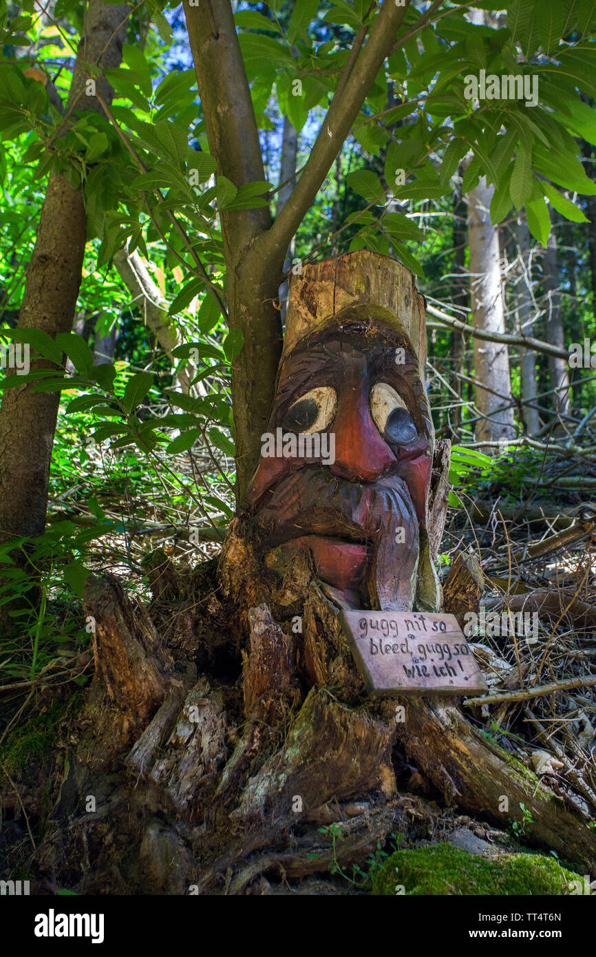 Volto scolpito in un tronco di albero, foresta fantasmi trail (tedesco: Waldgeisterweg), Oberotterbach, Itinerario dei vini tedeschi, Renania-Palatinato, Germania Foto Stock