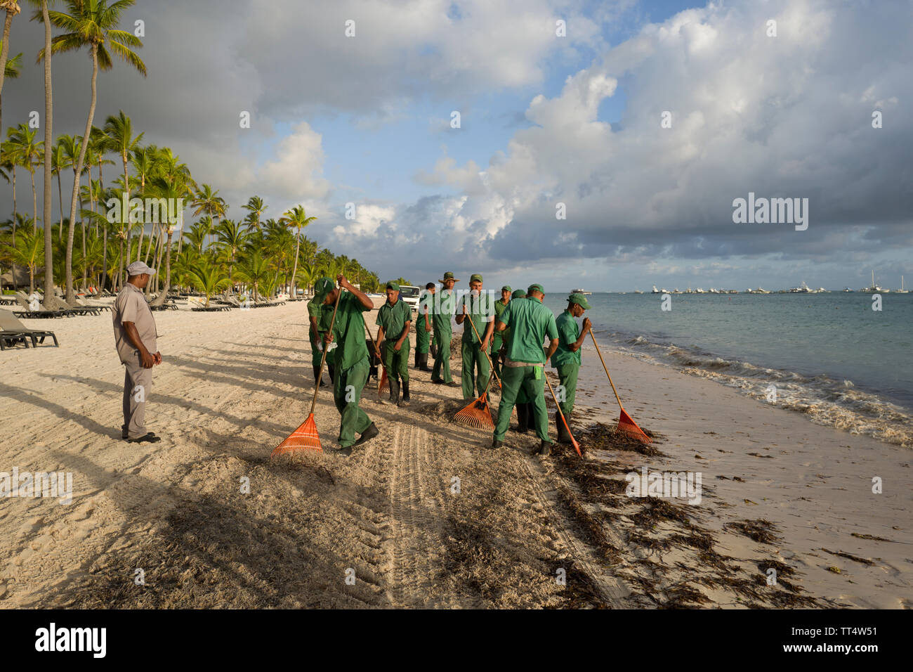 La pulizia della spiaggia di alghe su Bavaro Beach Punta Cana Repubblica Dominicana Foto Stock