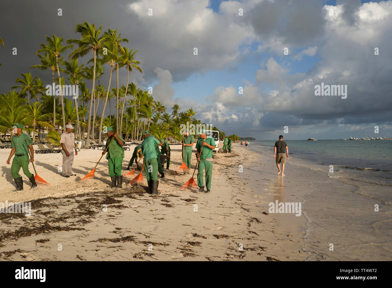 La pulizia della spiaggia di alghe su Bavaro Beach Punta Cana Repubblica Dominicana Foto Stock