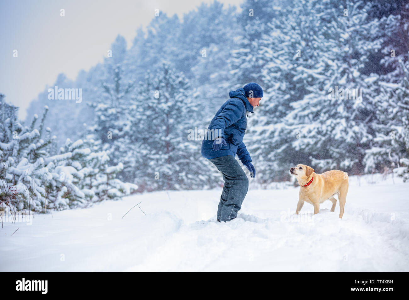 Un uomo e il cane sono i migliori amici. L'uomo con il cane giocando in un nevoso foresta di pini in inverno Foto Stock