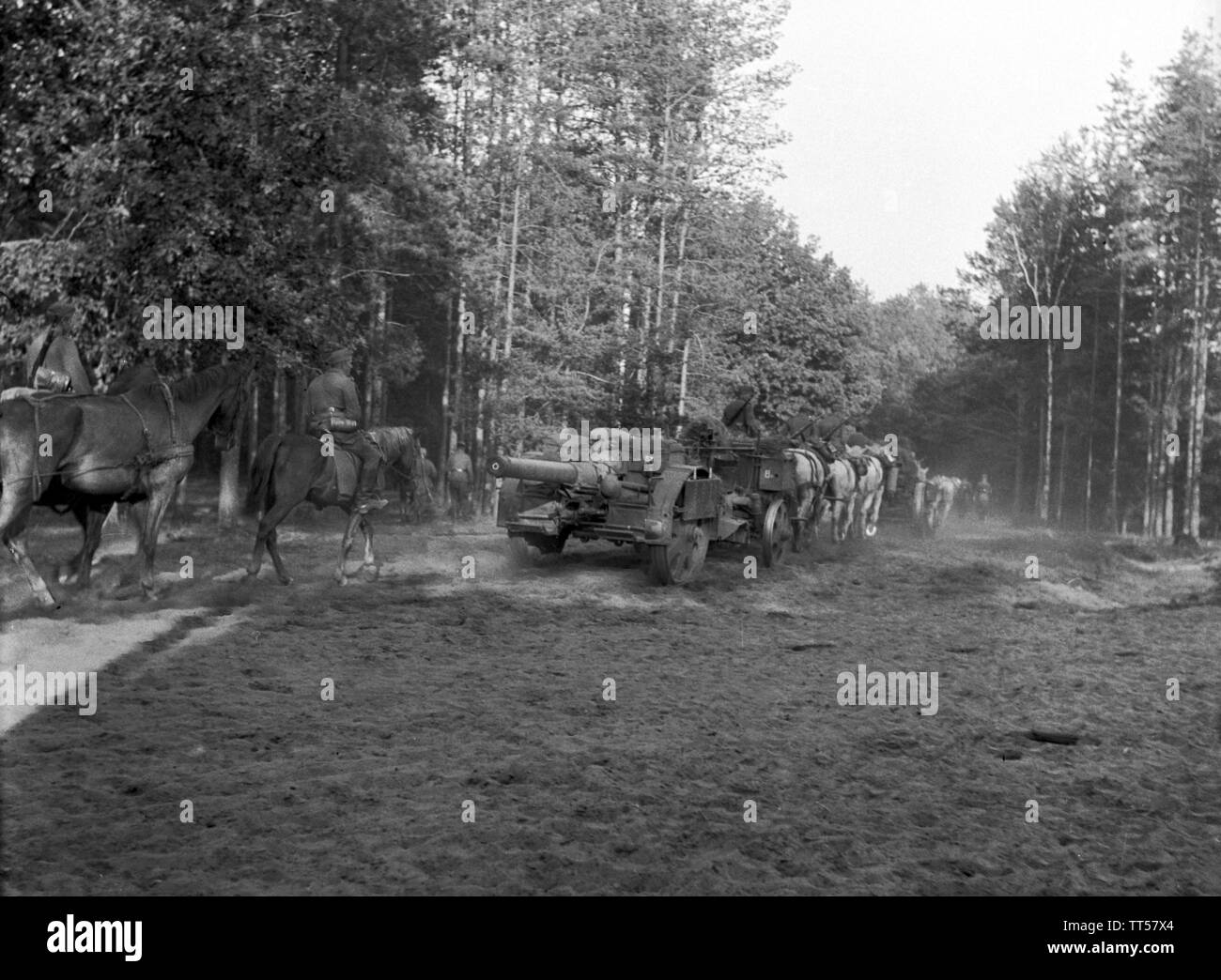 Wehrmacht Heer Feldkanone K15/16(t) K410(i) 15,2 cm Ex Tscheslowakei Autokanone M.15/16 - Esercito Tedesco cannone campo K15/16 15,2cm Ex Slovacchia ceceno M.15/16 Foto Stock