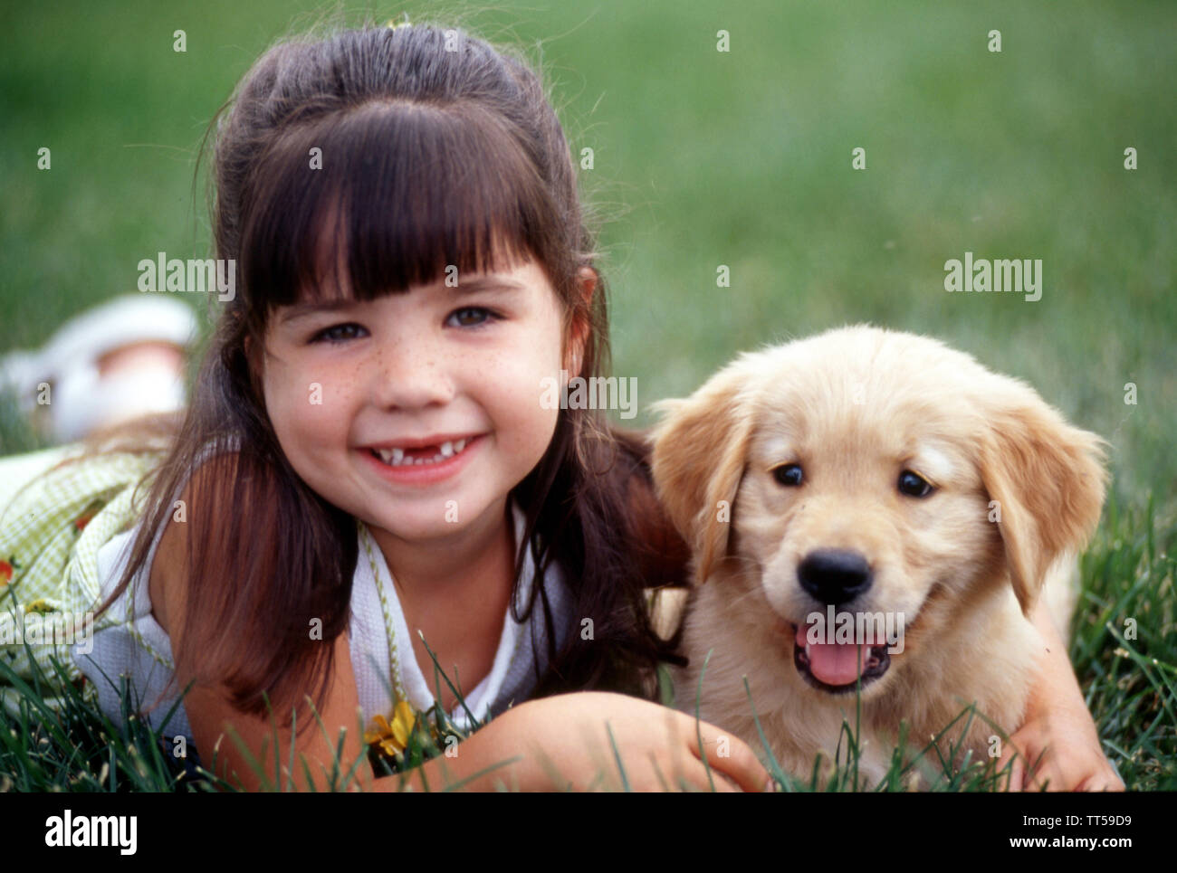Ragazza giovane con la golden retriever cuccioli Foto Stock
