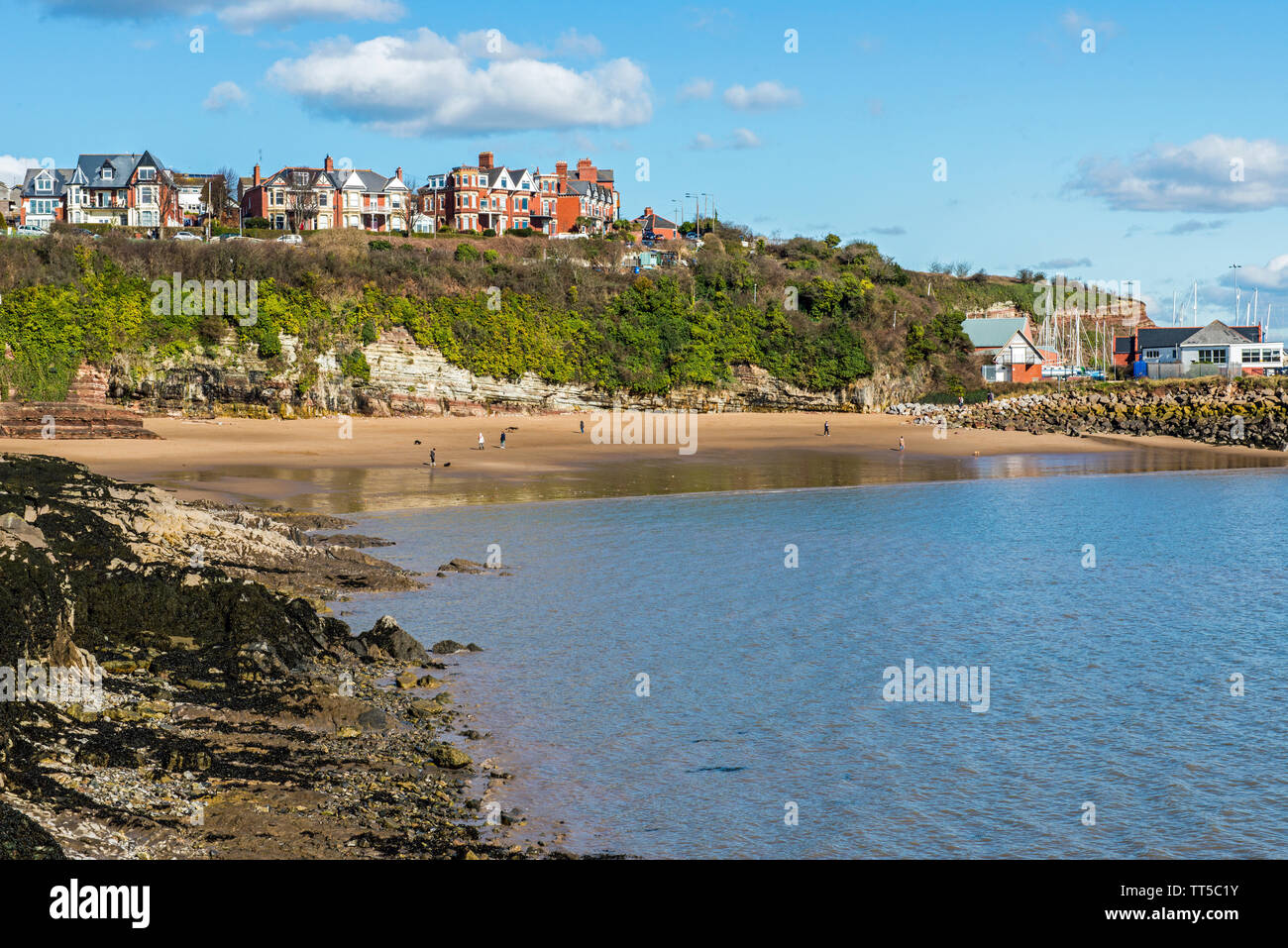Grandi spiagge dell'isola immagini e fotografie stock ad alta