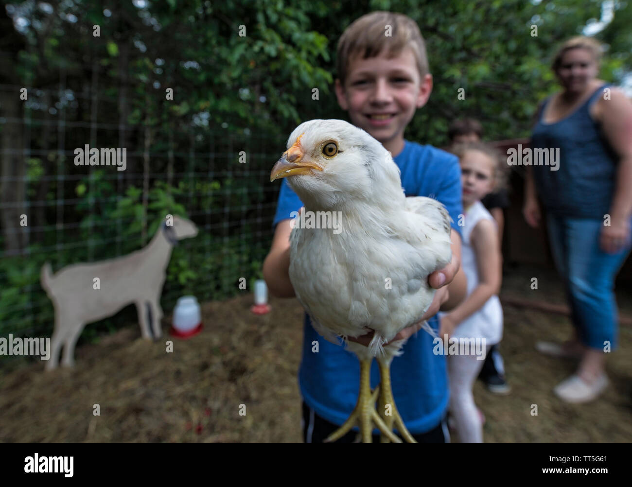 Stati Uniti - 4 Giugno 2016: dieci anni di Collin cavalcavia gode giocare con i polli al Willowsford Farm Stand off di fondatori Drive in Ashbur Foto Stock