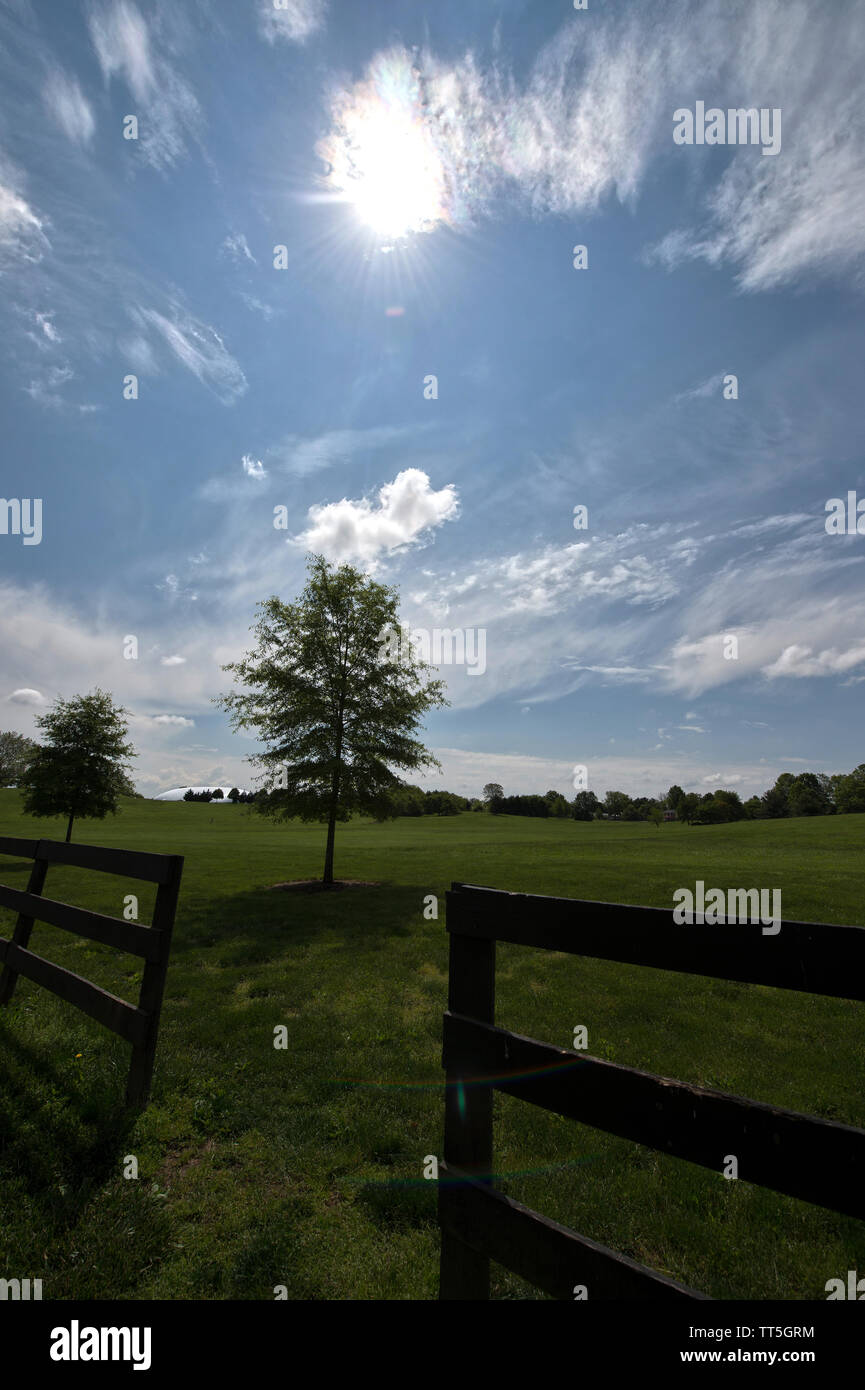 Stati Uniti - 23 Maggio 2016: Ida Lee Park di Leesburg Virginia. Ida Lee Park Recreation Centre è un completo servizio di alloggio boskovice, offrendo un fitn Foto Stock