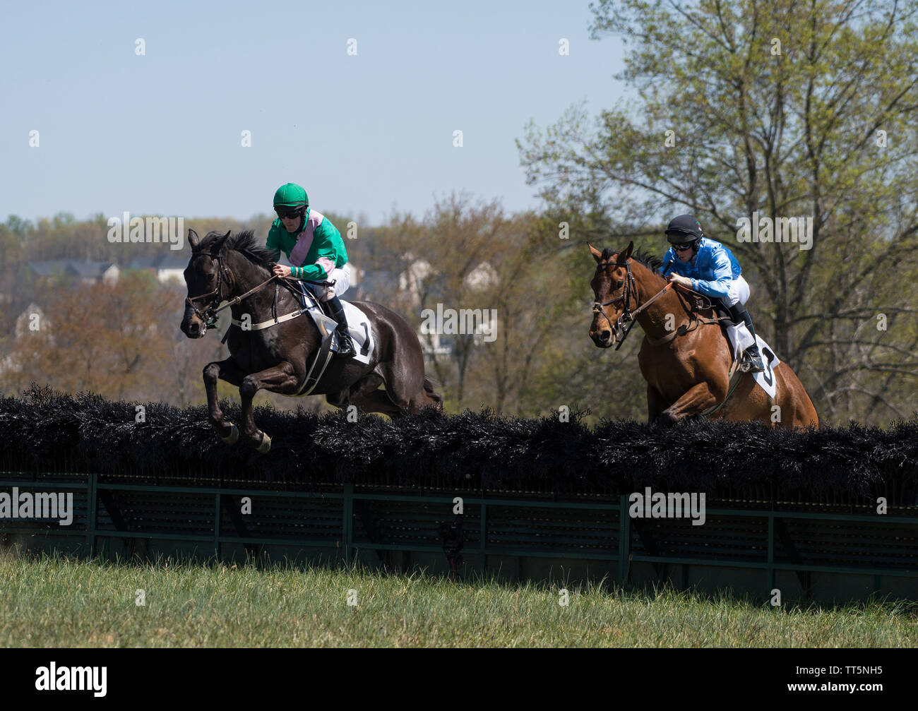 Stati Uniti - 17 Aprile 2016: il cinquantesimo annuale di Loudoun Hunt da punto a punto le gare di domenica, 17 aprile 2016 (foto di Douglas Graham/Loudoun ora) Foto Stock