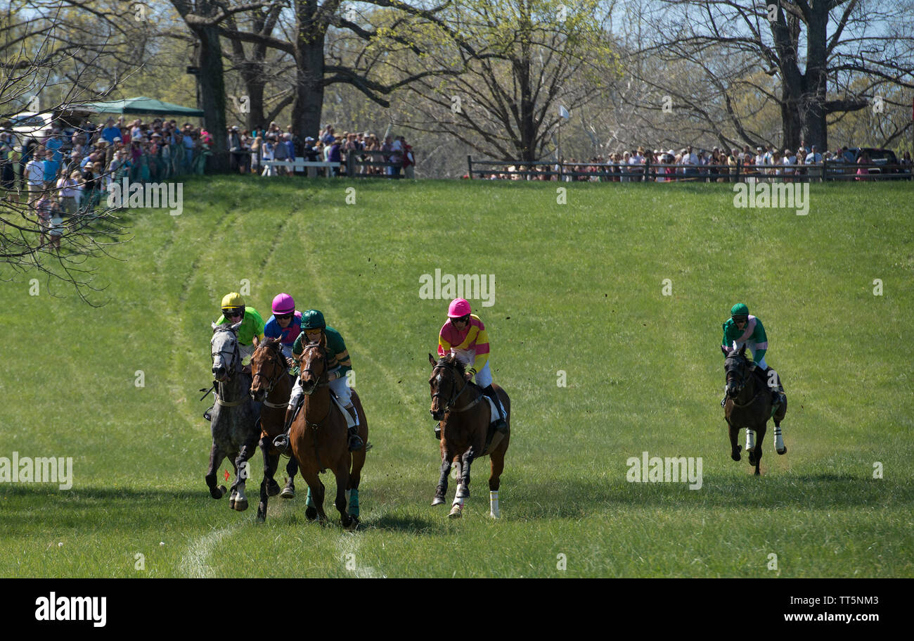 Stati Uniti - 17 Aprile 2016: il cinquantesimo annuale di Loudoun Hunt da punto a punto le gare di domenica, 17 aprile 2016 (foto di Douglas Graham/Loudoun ora) Foto Stock