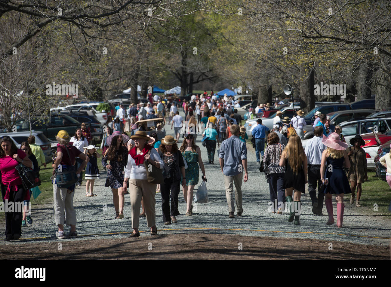 Stati Uniti - 17 Aprile 2016: il cinquantesimo annuale di Loudoun Hunt da punto a punto le gare di domenica, 17 aprile 2016 (foto di Douglas Graham/Loudoun ora) Foto Stock