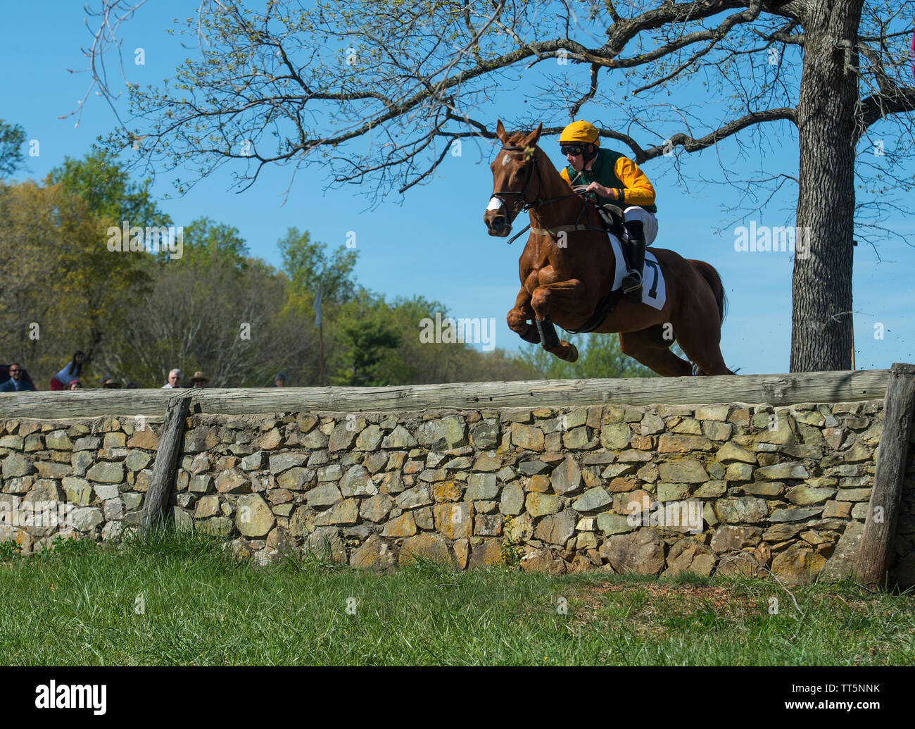 Stati Uniti - 17 Aprile 2016: il cinquantesimo annuale di Loudoun Hunt da punto a punto le gare di domenica, 17 aprile 2016 (foto di Douglas Graham/Loudoun ora) Foto Stock