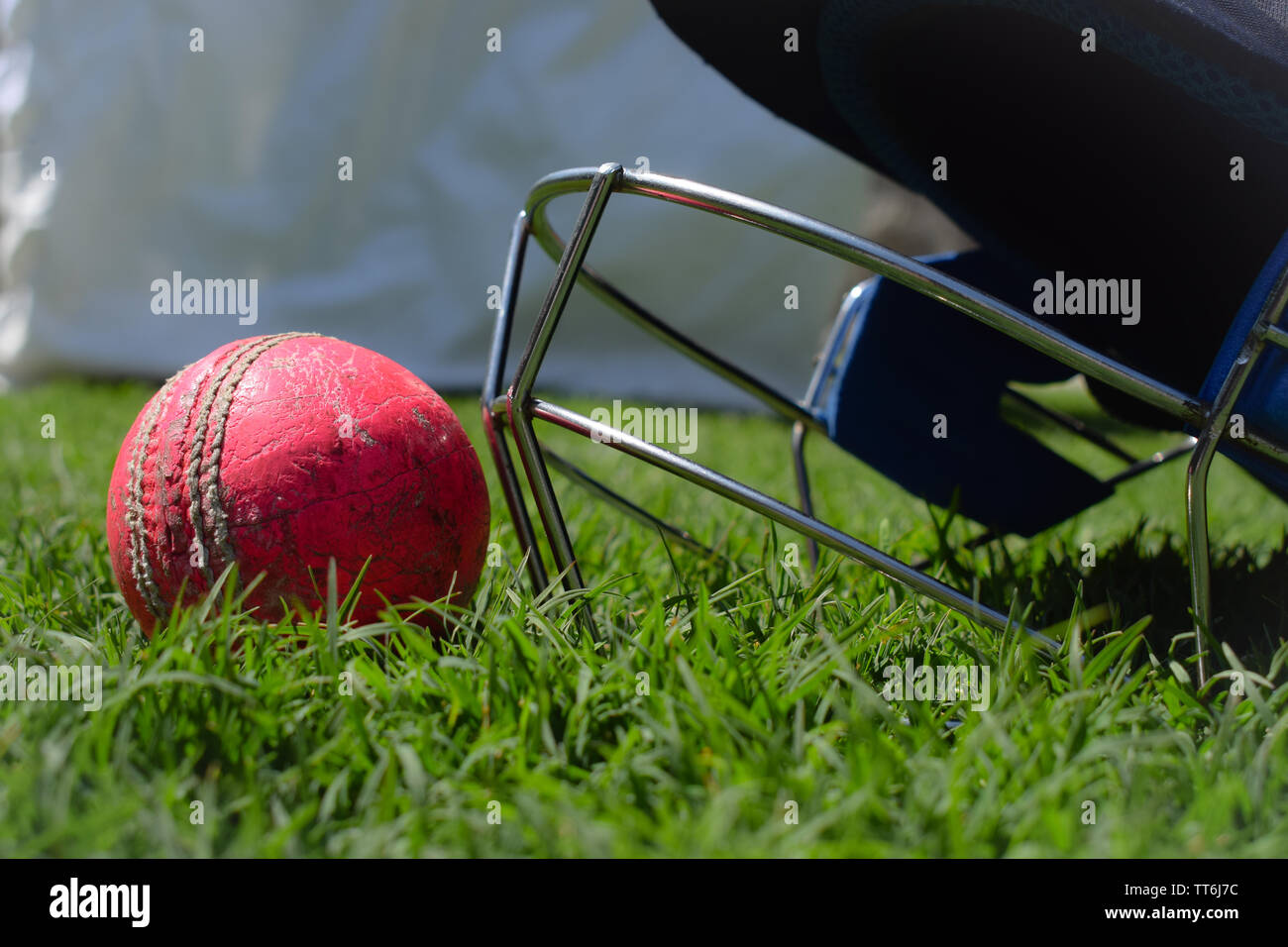 Cricket sfera su un prato verde. Cricket casco attrezzatura utilizzata per proteggere la testa dalla sfera veloce. Foto Stock