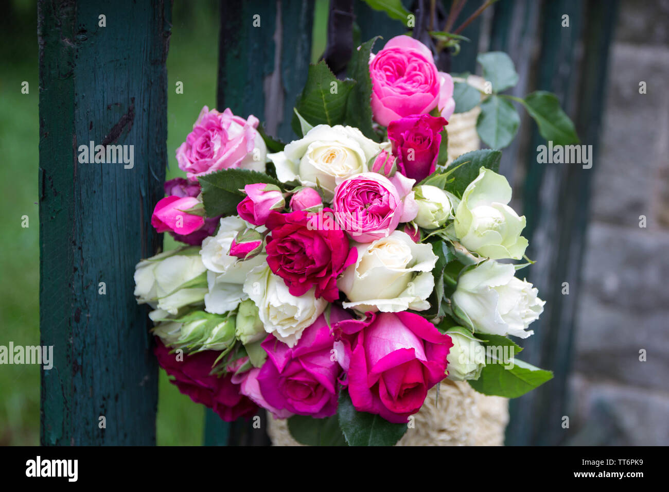 Bouquet di fragrante rosa Inglese e rose bianche in una borsa di rafia appesa alla recinzione Foto Stock