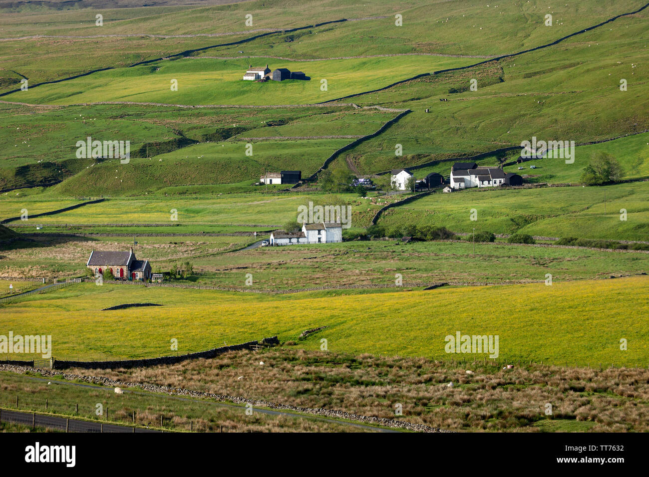 Teesdale, County Durham, Regno Unito. Il 15 giugno 2019. Regno Unito Meteo. Dopo giorni di forti piogge che hanno causato allagamenti in molte parti del Regno Unito il sole si rompe attraverso illuminando il selvaggio fiore di prati e giardini per cui il Nord Pennine valle di Teesdale superiore è notato per. Il North Pennines Area di straordinaria bellezza naturale contiene il 40% di questi rari prati e fiori. Credito: David Forster/Alamy Live News Foto Stock