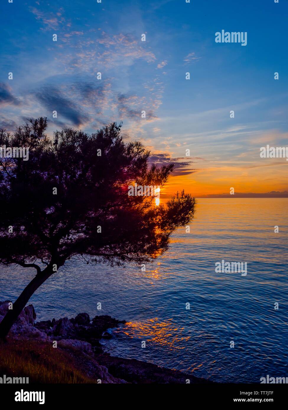 Albero del tramonto contro il tramonto sole aka arte fotogenica artistica Foto Stock