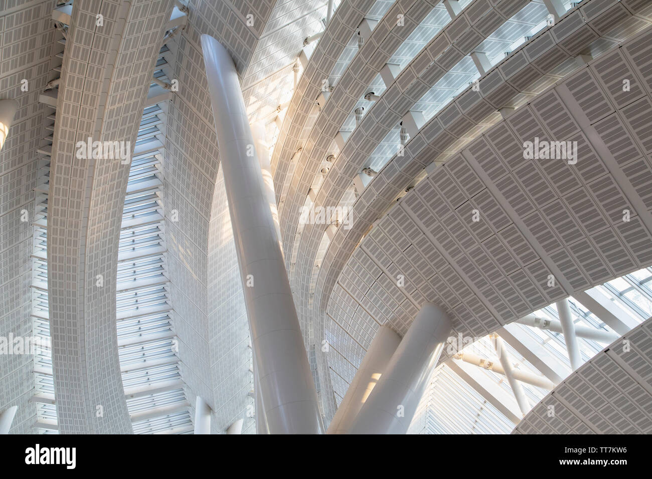 Interno del West Kowloon High Speed Rail Station, West Kowloon, Hong Kong Foto Stock