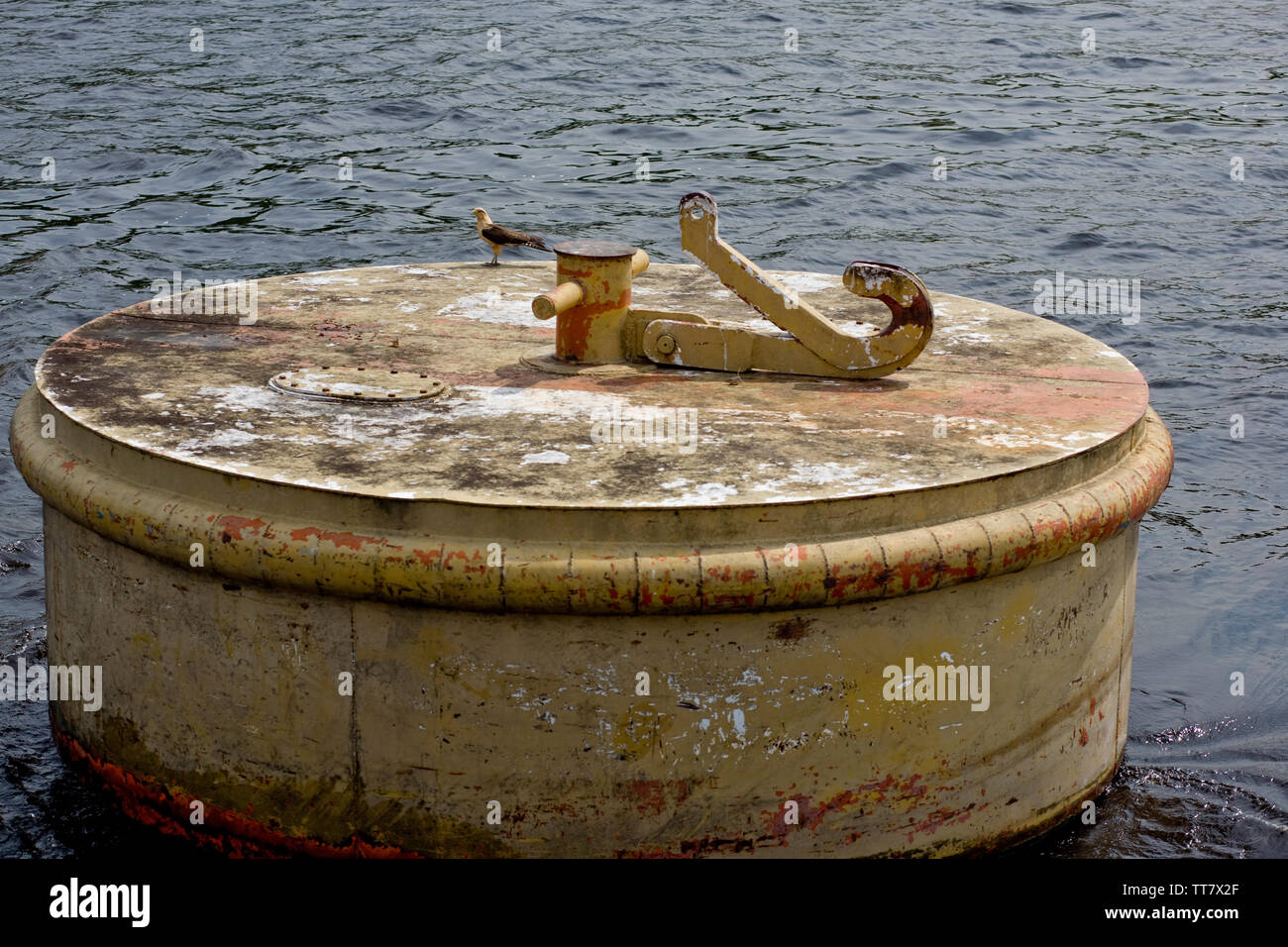 La boa di identificazione del canale, Amazônia, Manaus, Amazonas, Brasile Foto Stock