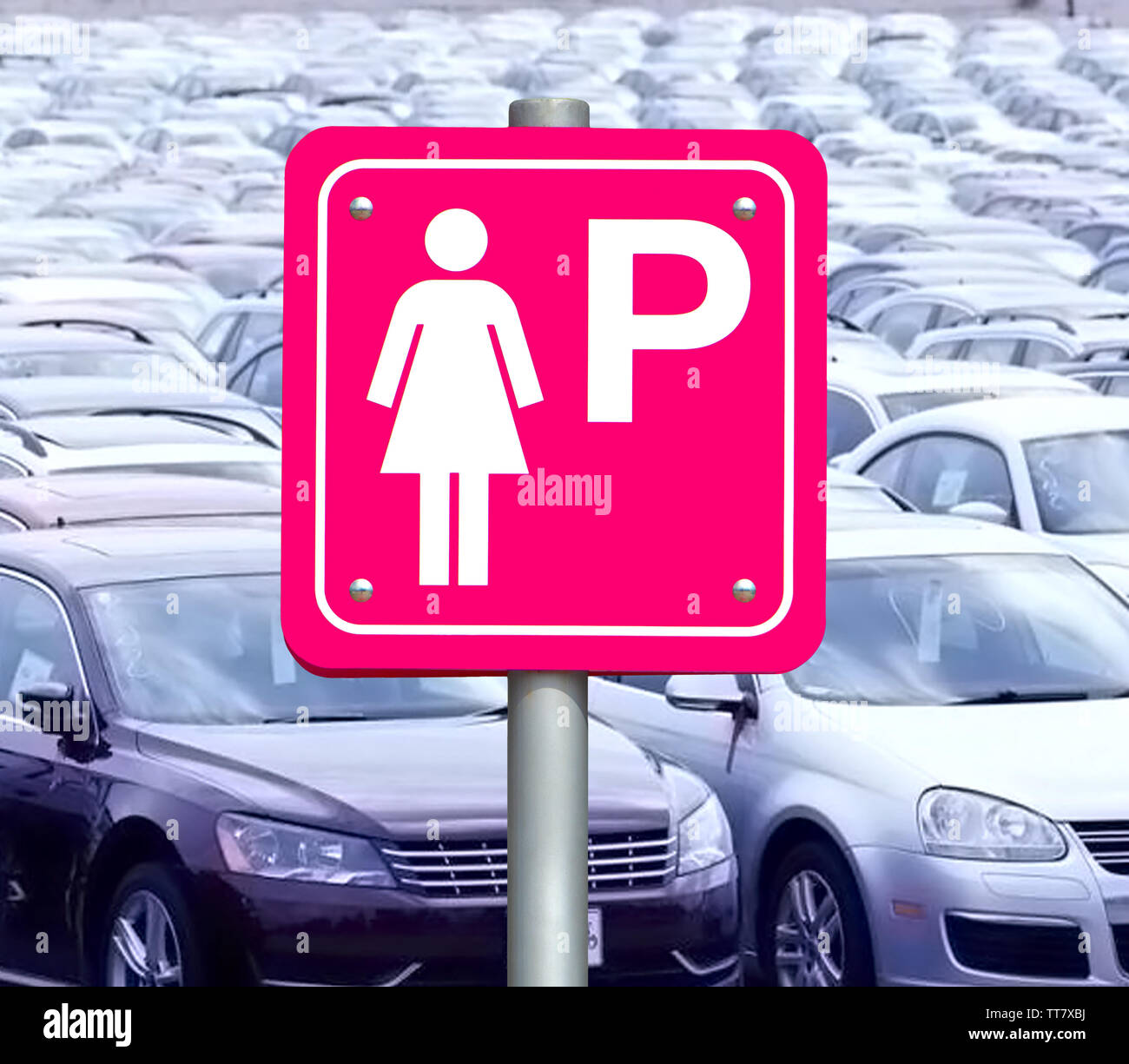 Il segno rosa per il parcheggio di automobili per le donne solo a pieno il parcheggio. Parcheggio solo per signora. Foto Stock