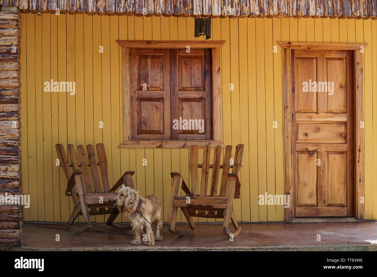 Un simpatico cane in legno e sedie a dondolo sulla veranda a Cuba Foto Stock
