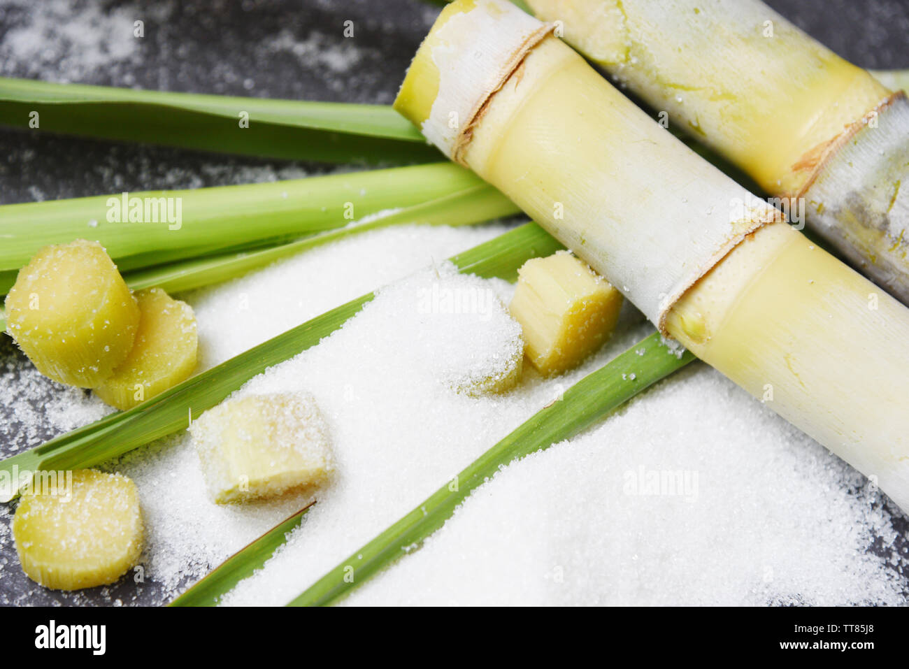 Sugar cane and white sugar on dark background Foto Stock