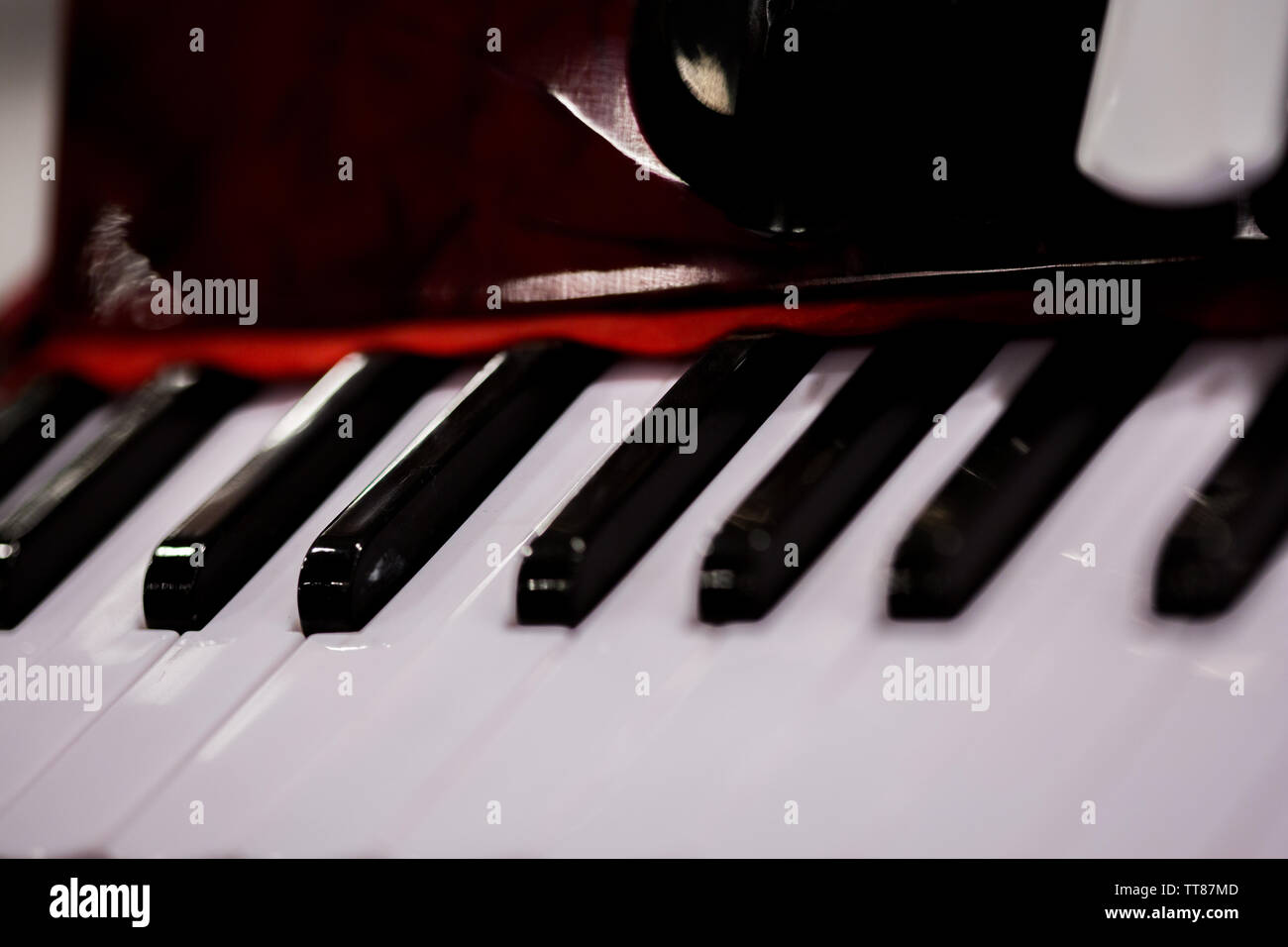 Fisarmonica tasti tastiera macro close up in bianco e nero Foto Stock
