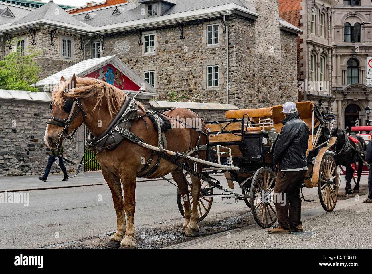 Caleche nella vecchia Montreal Foto Stock
