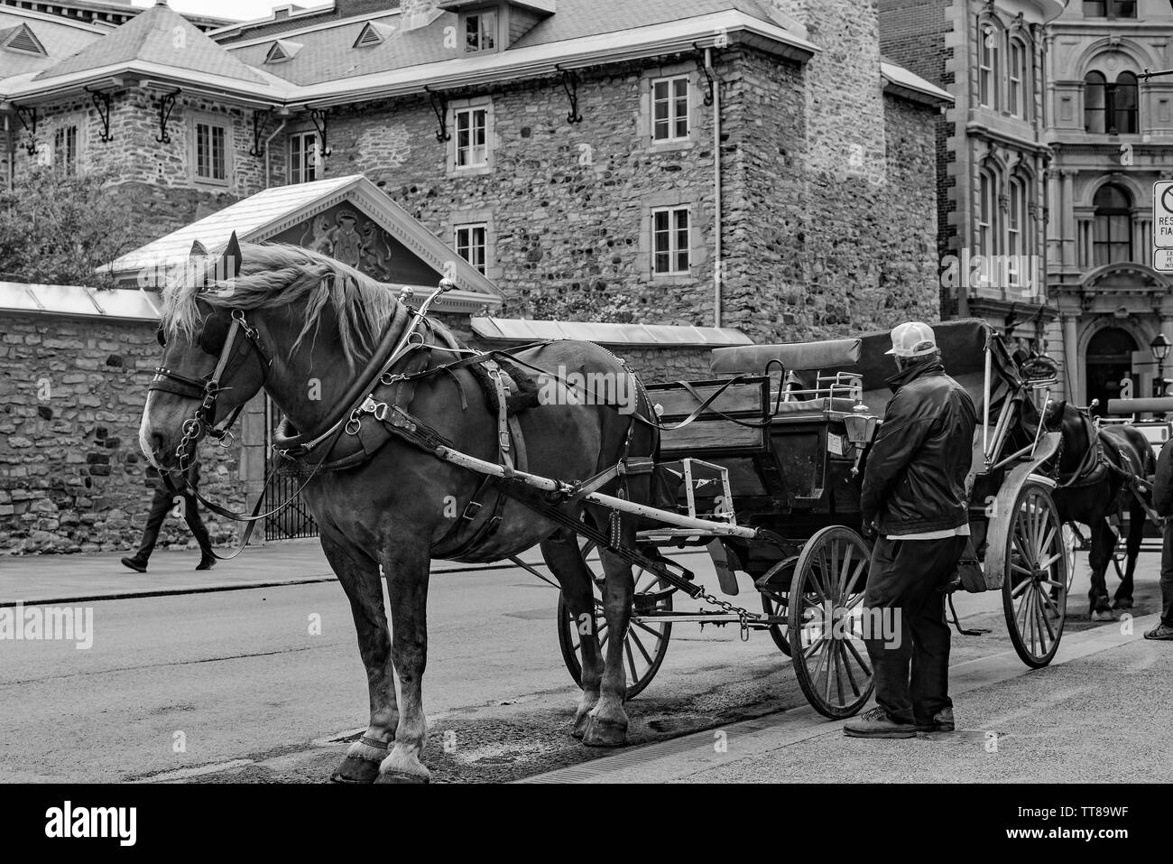 Caleche nella vecchia Montreal Foto Stock