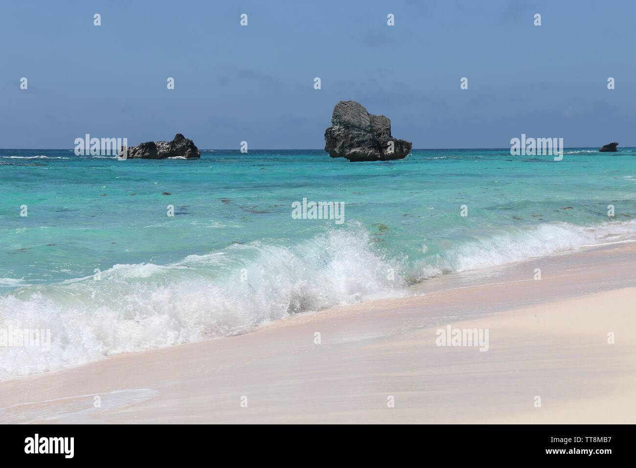 Warwick Long Bay - una rosa di spiaggia di sabbia sulla costa sud di Bermuda Foto Stock
