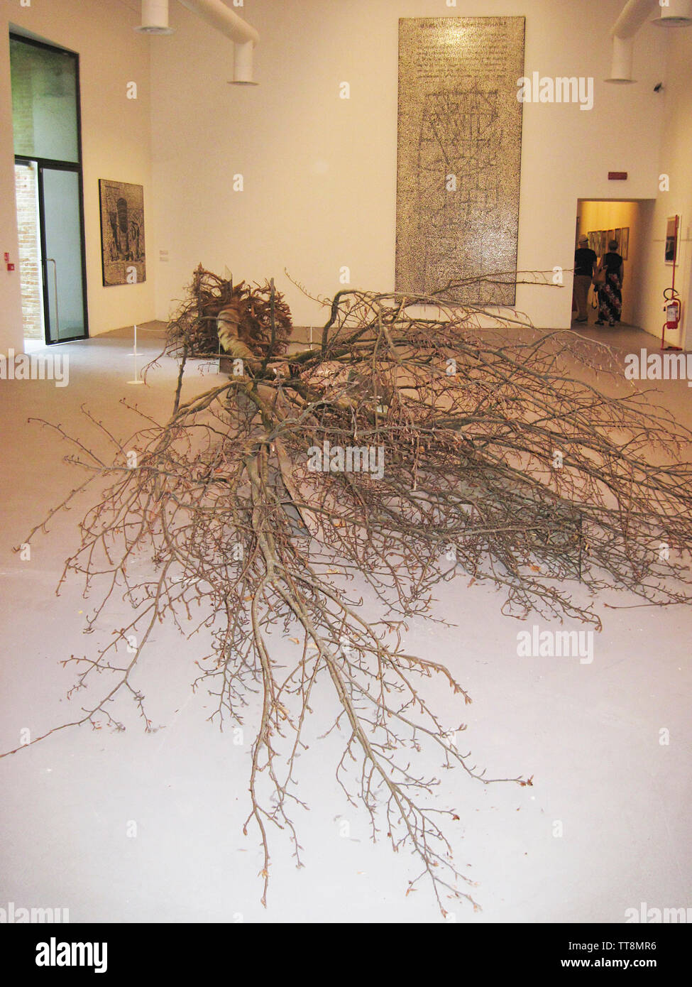 Una installazione di arte un albero alla Biennale di Venezia 2015, l'Italia, Foto Stock