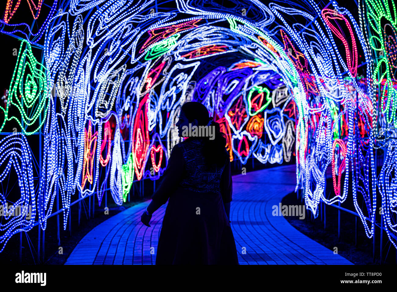 Dubai Glow giardino la fotografia in condizioni di scarsa illuminazione Foto Stock