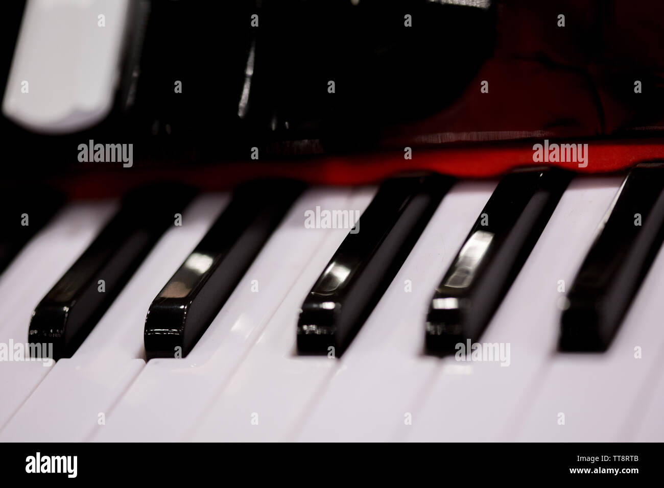 Fisarmonica tasti tastiera macro close up in bianco e nero Foto Stock