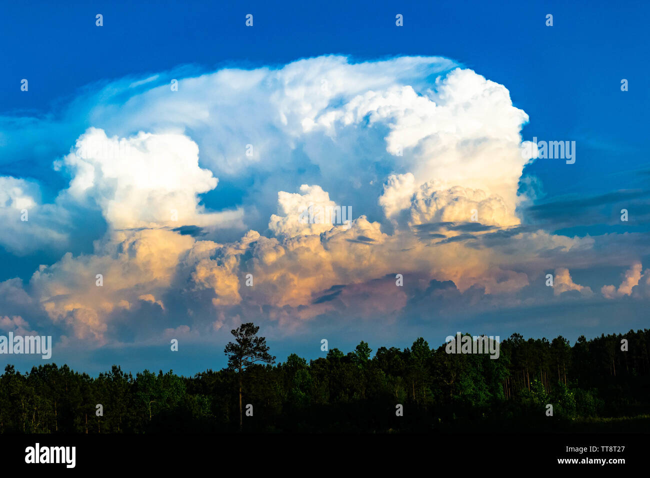 Un thunderhead di cloud si avvicina a distanza Foto Stock