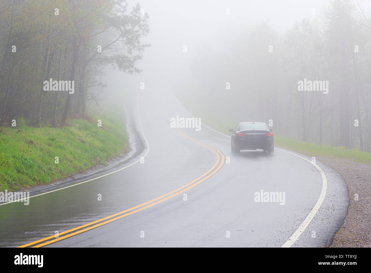 Inquadratura orizzontale di una vettura di scomparire nella fitta Smoky Mountain nebbia con copia spazio. Foto Stock